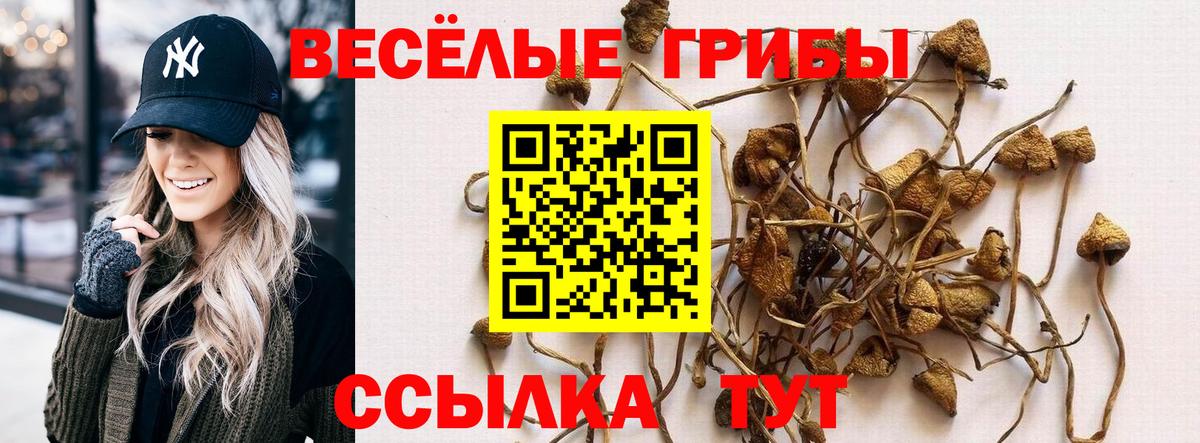 Галлюциногенные грибы мицелий  Галлюциногенные грибы MAGIC MUSHROOMS  Избербаш  Вход с VPN 
